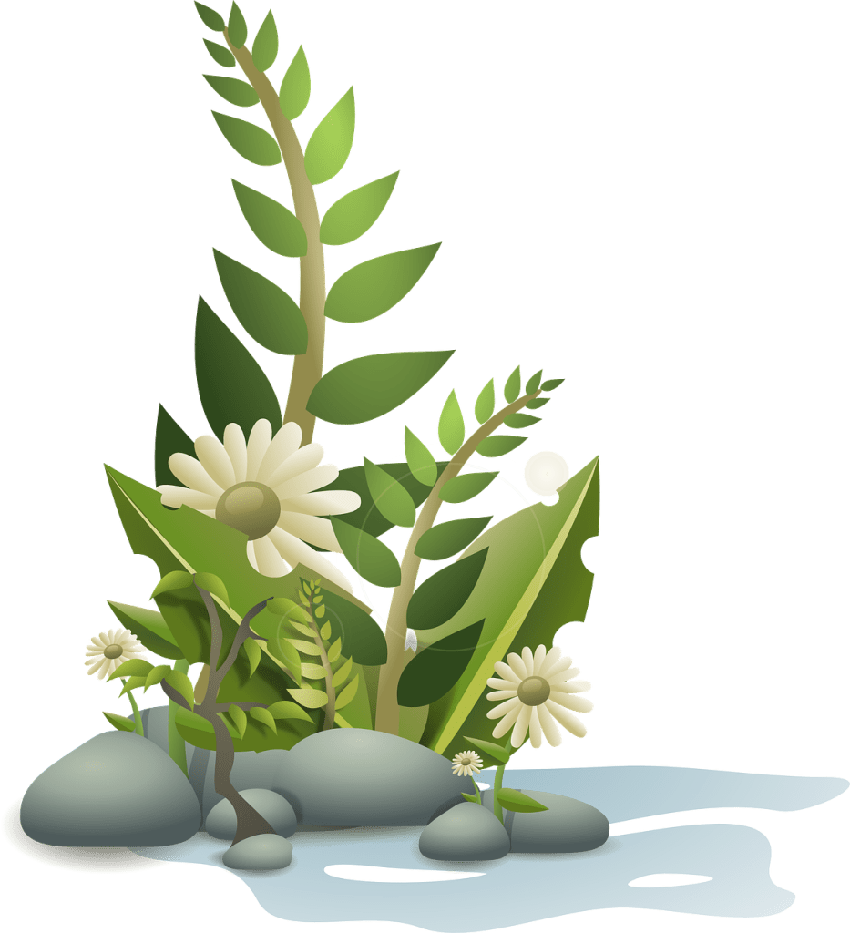 Trimming Truths Cutting Grass in Dreams A Biblical Exploration