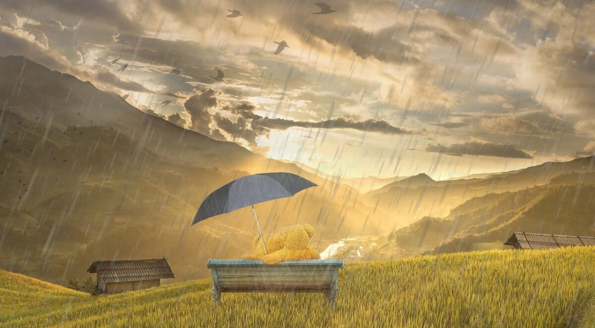 Shelter or More? The Umbrella's Biblical Role in Dreams Bible Dreams
